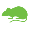Controle de Ratos