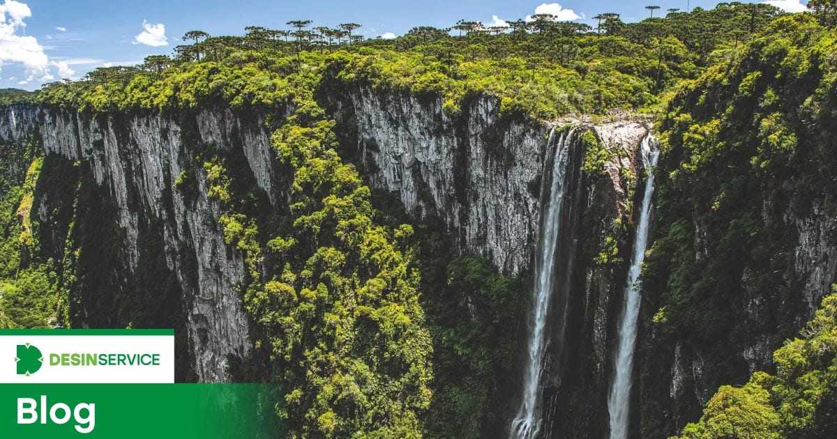 Controle de pragas não agride o meio ambiente
