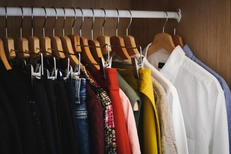 Traça das roupas