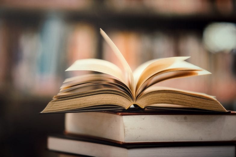 Traça dos livros