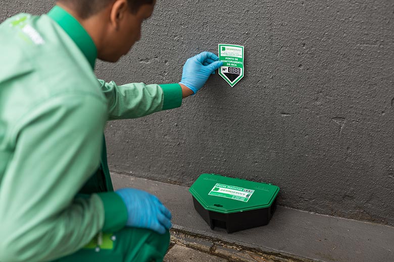 Controle de Ratos - Desinservice