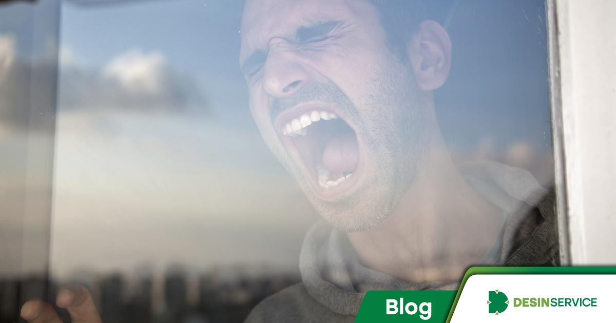 Raiva humana: como se prevenir dessa doença mortal