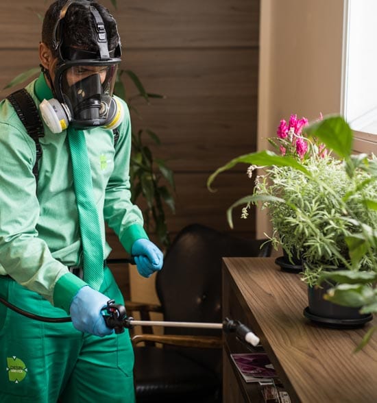 Saúde Ambiental - Desinservice
