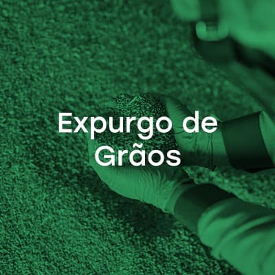 Expurgo de Grãos