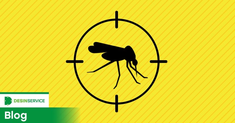Como combater a febre amarela no Brasil?