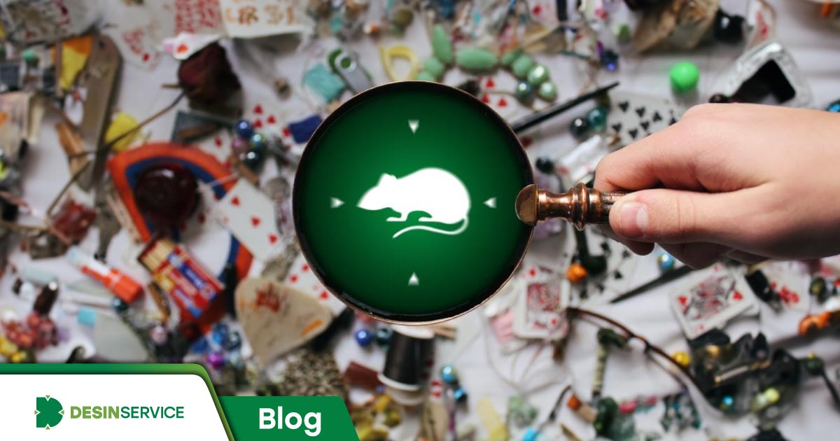 Infestação de Ratos: aprenda a identificar os sinais no ambiente