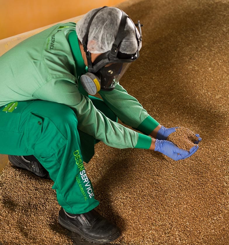 Controle de Pragas e Expurgo de Grãos no Agronegócio