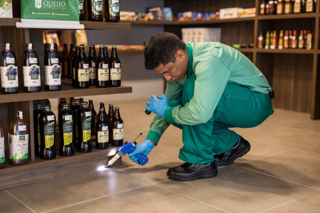 aplicação de gel contra formigas por técnico da Desinservice