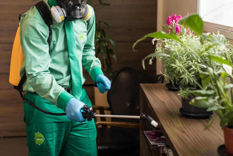 Controle de insetos com o uso de domissanitários em uma residência.