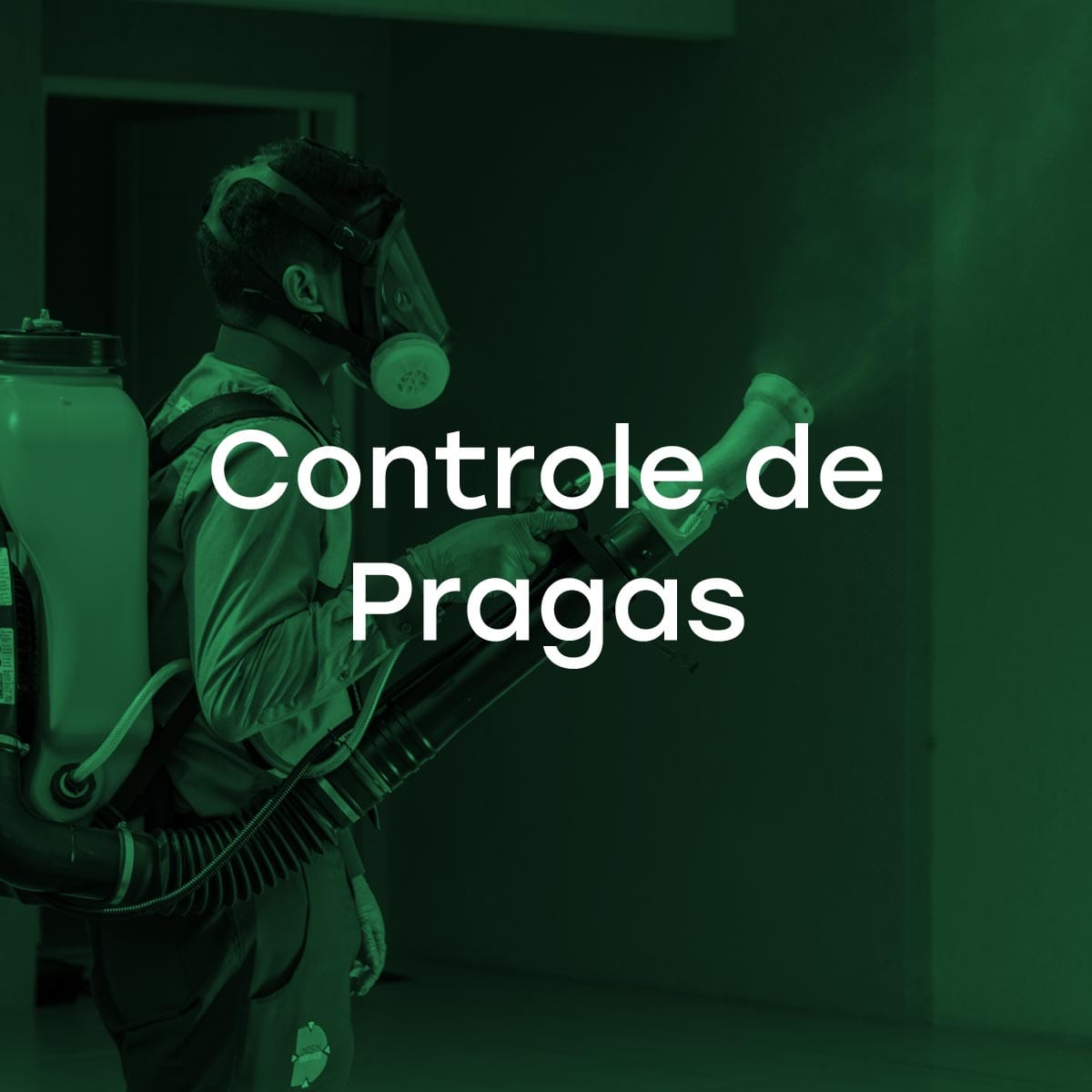 Controle de Pragas - Dedetização - Desinservice - Santa Maria