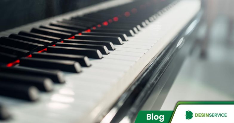 Aprenda a se proteger de cupins em instrumentos musicais