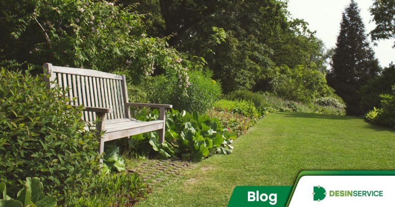 Como se proteger das pragas de jardim