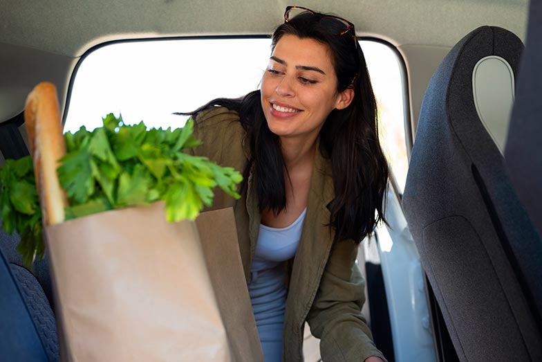 Alimentos atraem pragas em automóveis